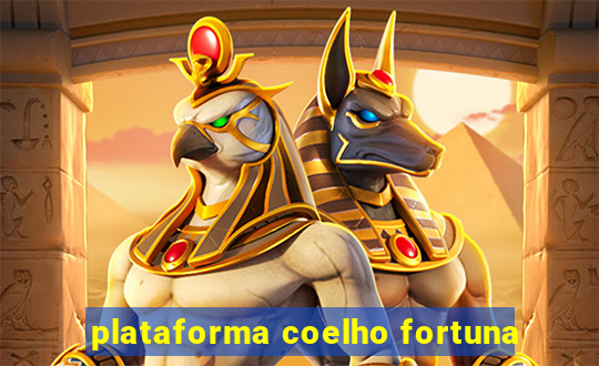 plataforma coelho fortuna